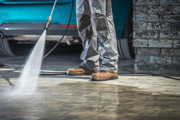 Animal Enclosure Cleaning in Scottsdale, AZ